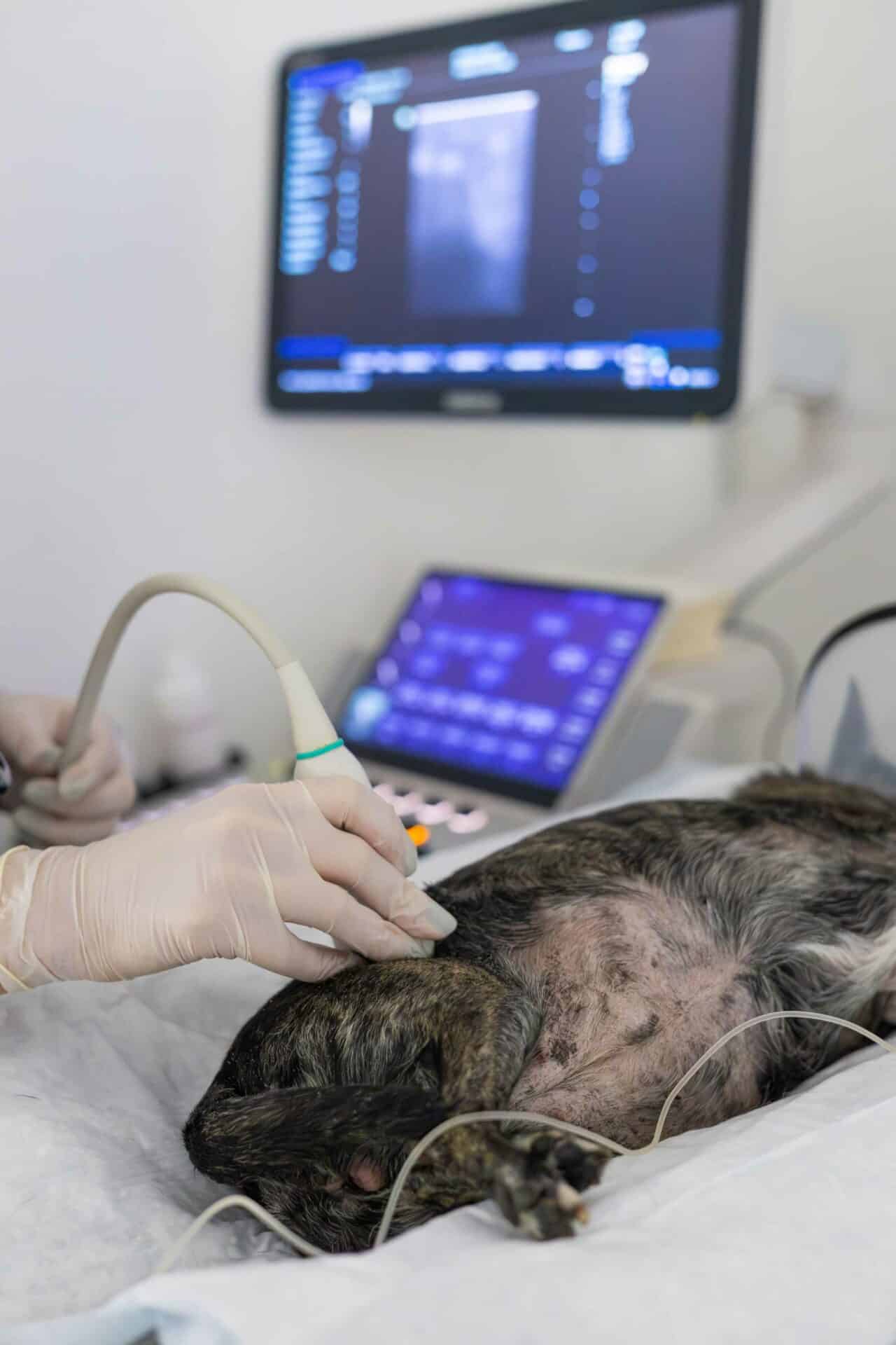Diagnostics