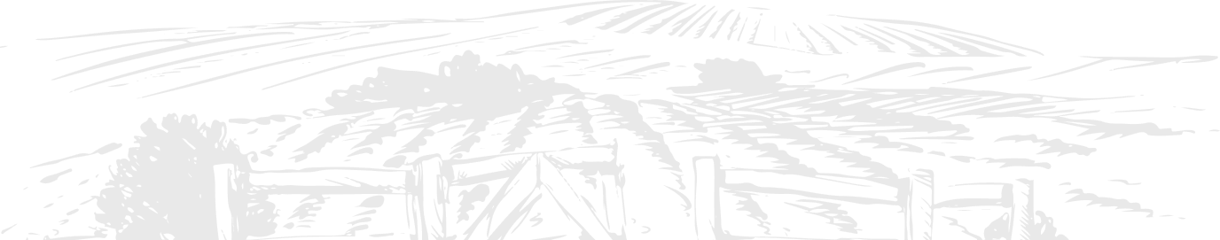 Feature Section Graphic